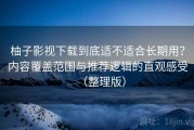 柚子影视下载到底适不适合长期用？内容覆盖范围与推荐逻辑的直观感受（整理版）