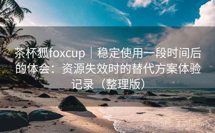 茶杯狐foxcup｜稳定使用一段时间后的体会：资源失效时的替代方案体验记录（整理版）
