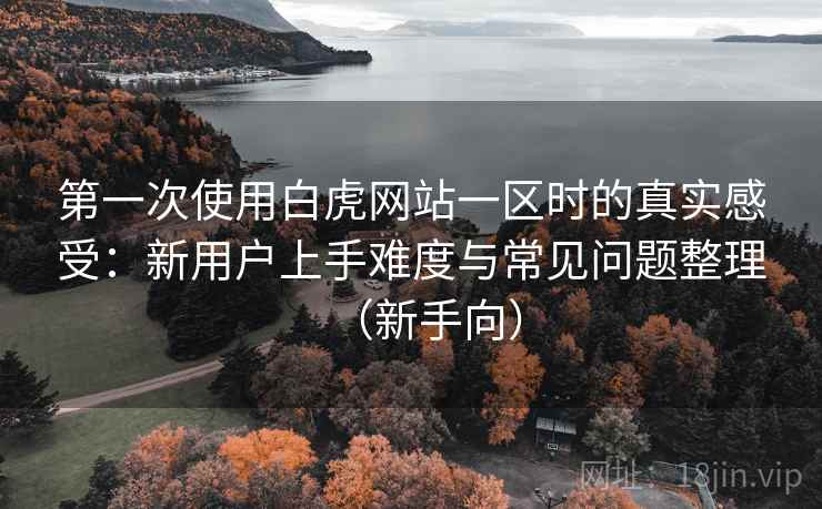 第一次使用白虎网站一区时的真实感受：新用户上手难度与常见问题整理（新手向）