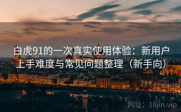 白虎91的一次真实使用体验：新用户上手难度与常见问题整理（新手向）