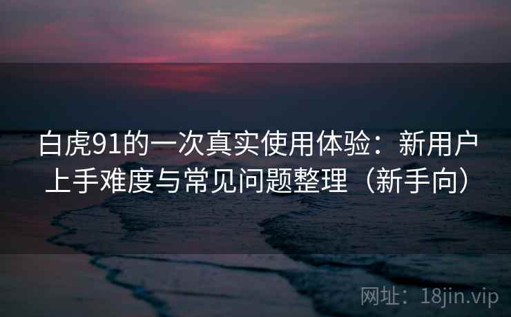 白虎91的一次真实使用体验：新用户上手难度与常见问题整理（新手向）