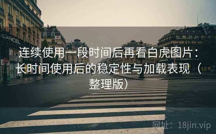 连续使用一段时间后再看白虎图片：长时间使用后的稳定性与加载表现（整理版）