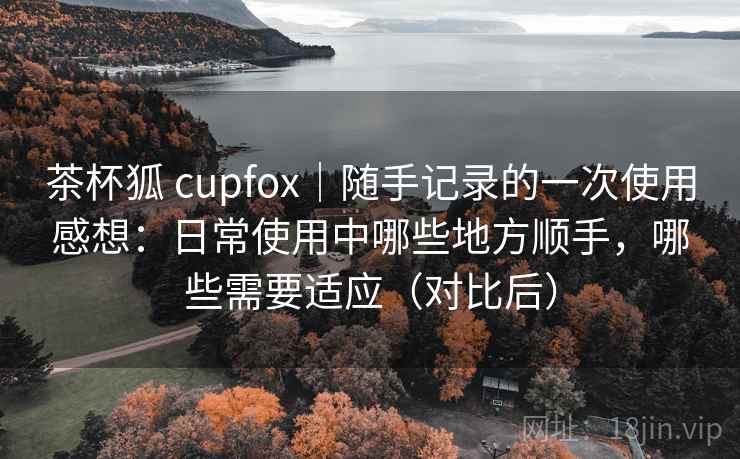 茶杯狐 cupfox｜随手记录的一次使用感想：日常使用中哪些地方顺手，哪些需要适应（对比后）