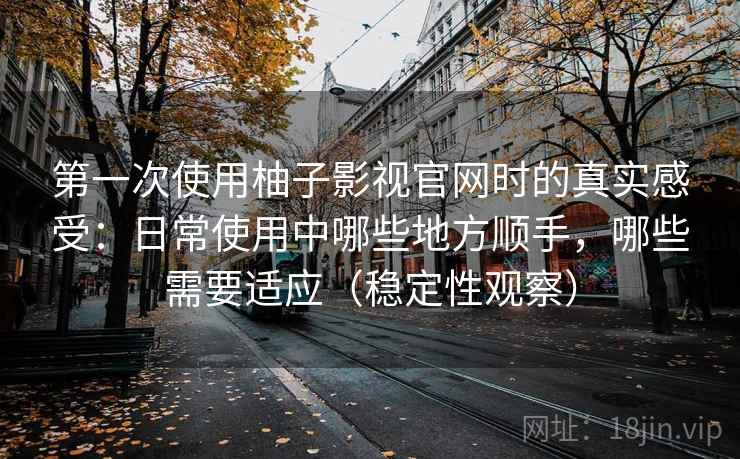 第一次使用柚子影视官网时的真实感受：日常使用中哪些地方顺手，哪些需要适应（稳定性观察）
