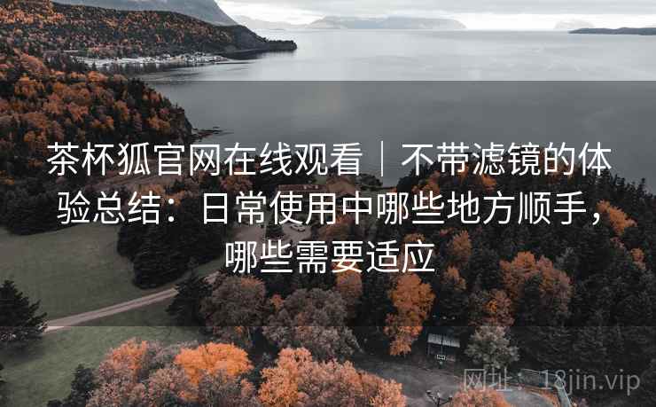 茶杯狐官网在线观看｜不带滤镜的体验总结：日常使用中哪些地方顺手，哪些需要适应