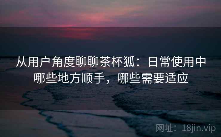 从用户角度聊聊茶杯狐:日常使用中哪些地方顺手,哪些需要适应 从用户角度聊聊茶杯狐:日常使用中哪些地方顺手,哪些需要适应