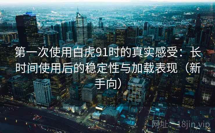 第一次使用白虎91时的真实感受:长时间使用后的稳定性与加载表现(新手向) 第一次使用白虎91时的真实感受:长时间使用后的稳定性与加载表现(新手向)