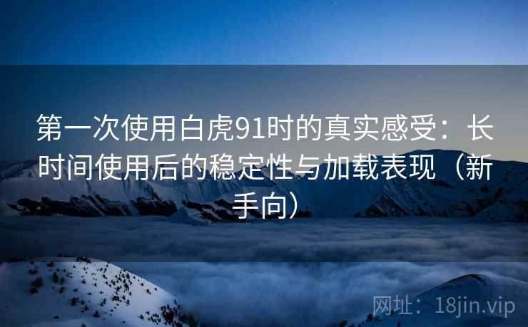 第一次使用白虎91时的真实感受:长时间使用后的稳定性与加载表现(新手向) 第一次使用白虎91时的真实感受:长时间使用后的稳定性与加载表现(新手向)