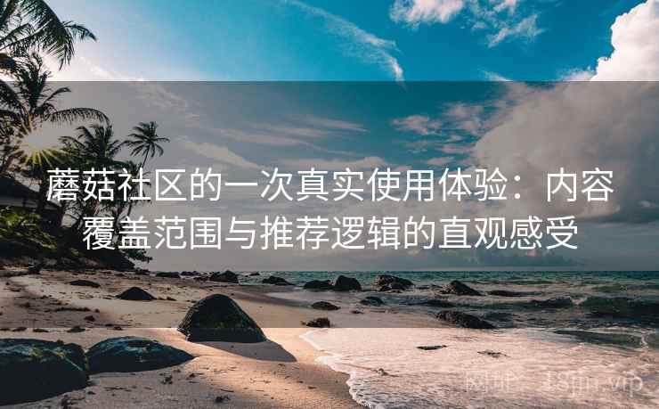蘑菇社区的一次真实使用体验:内容覆盖范围与推荐逻辑的直观感受 蘑菇社区的一次真实使用体验:内容覆盖范围与推荐逻辑的直观感受